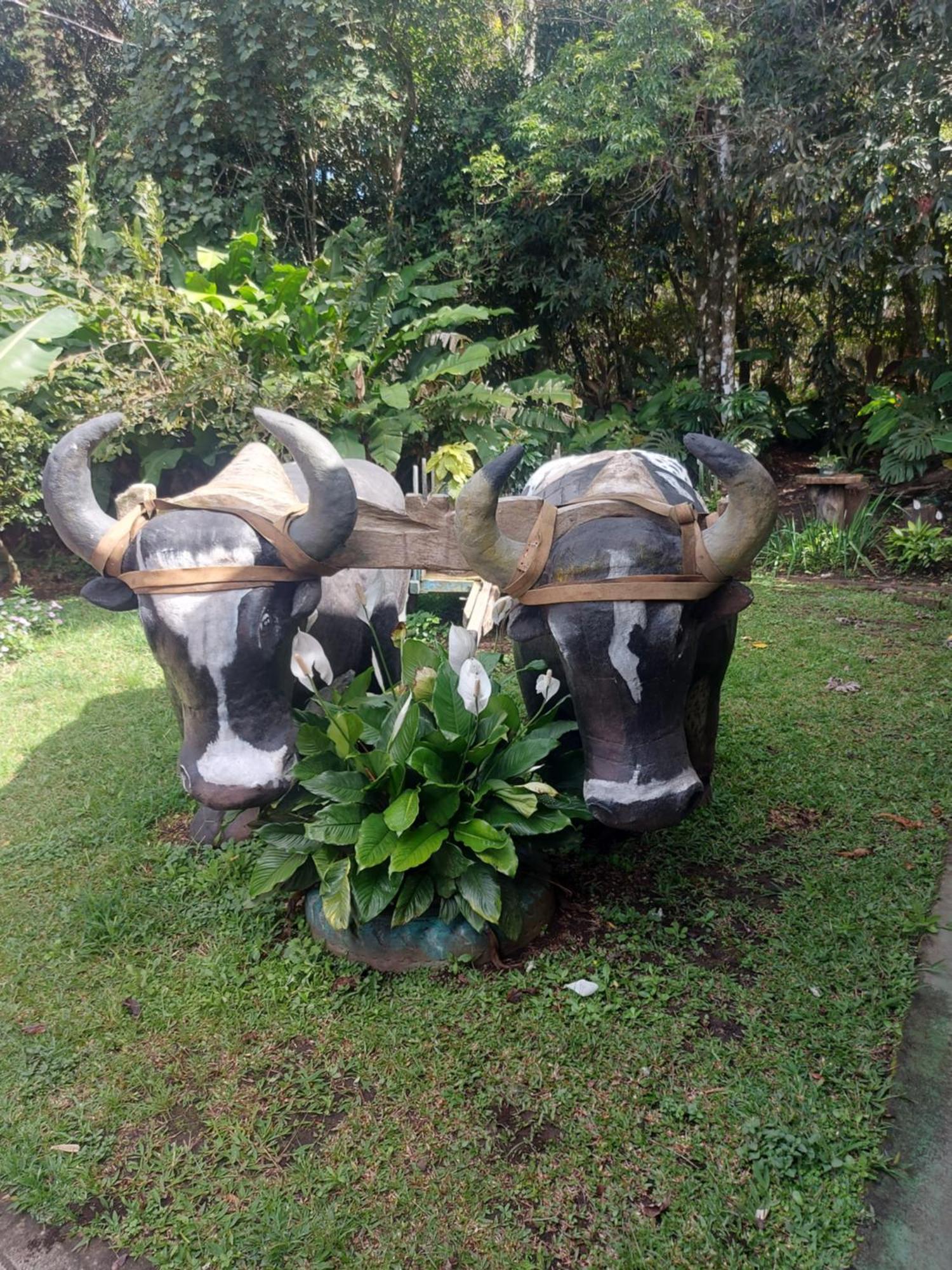 Alisson Hotel Y Restaurant Monteverde Eksteriør billede